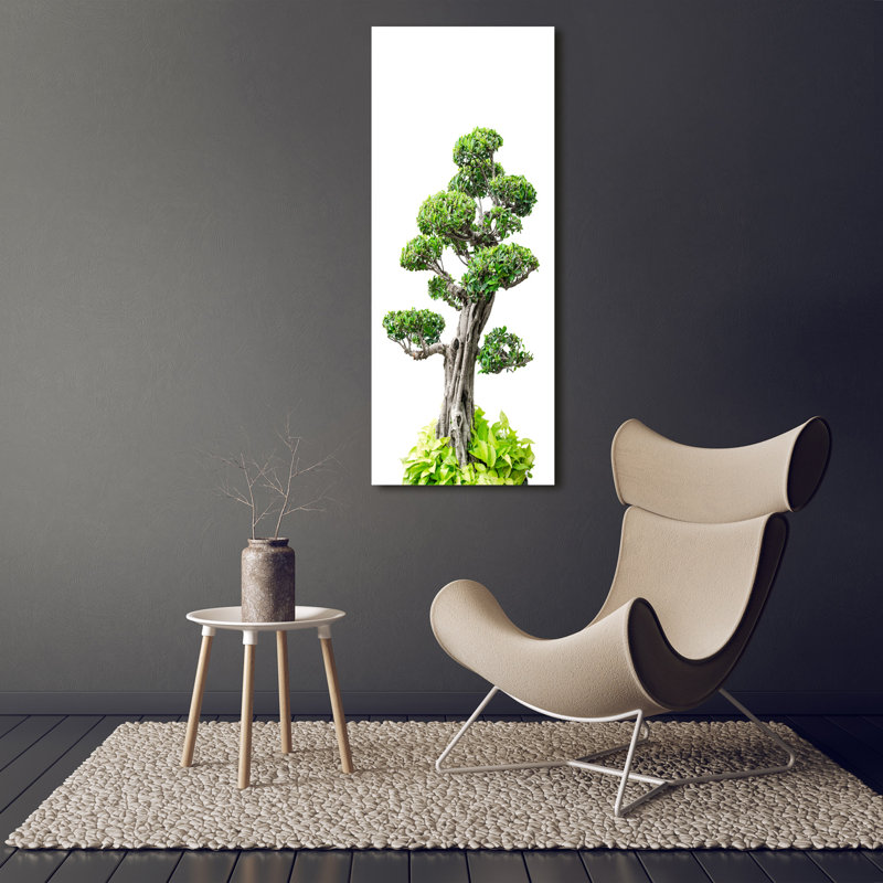 Bonsai Tree - Wrapped Canvas Print