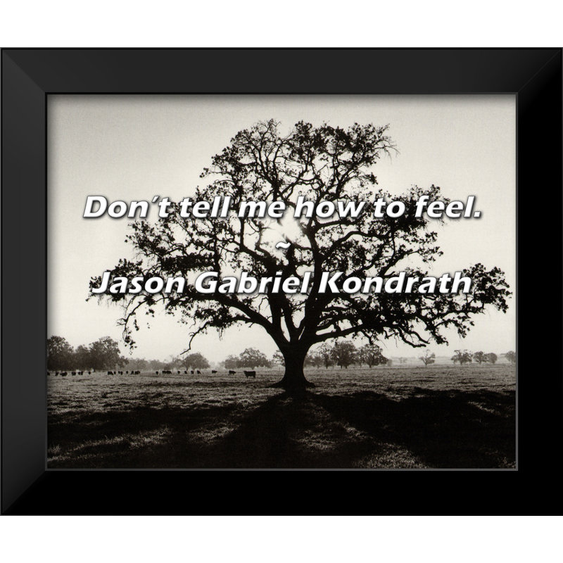 Jason Gabriel Kondrath Quote: Don’t tell me how to feel.