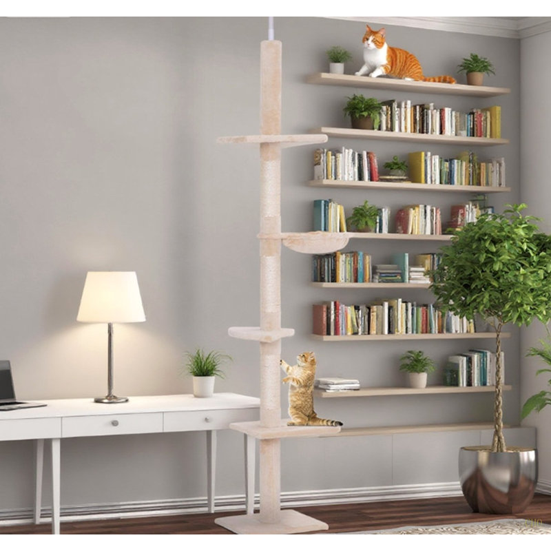Tour d'escalade verticale à hauteur réglable pour chat
