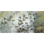 Silver Flock by Tracy Silva Barbosa - Wrapped Canvas Painting-1535744685