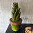 Landscape & Nature Figurines & Sculptures