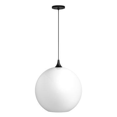 16 in. Black Globe Pendant Light