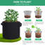 Grow Bags-1950650597