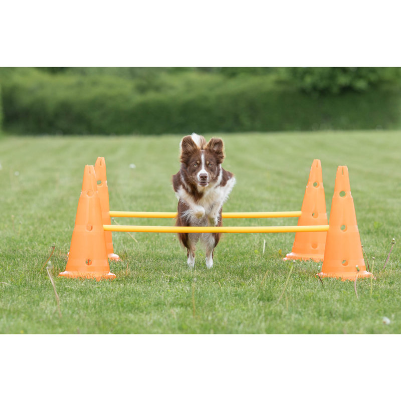 Adjustable Orange and Yellow Dog Agility Hurdle Cone Set