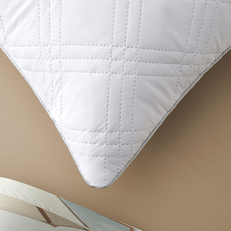 Cotesfield Plush Pillow, 20" H x 30" W