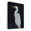 Calm Great Egret I, toile tendue avec châssis de qualité supérieure - prête à être accrochée-911492627