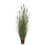 Herbe droite artificielle et quenouilles-22996684