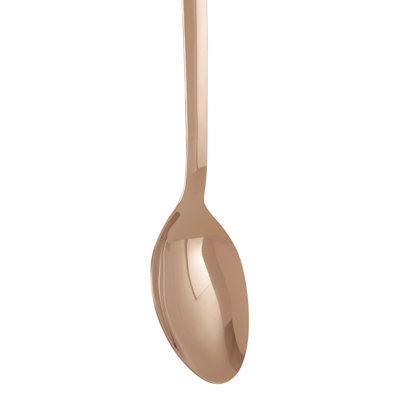 Fairmont Park Ciccone 1 Cooking Spoon