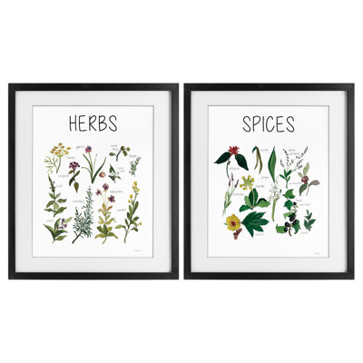 Culinary Herbs & Spices 2pc Framed Print Under Glass Set, design by Carol Robinson