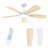 Ayan 46" W Dimmable LED Ceiling Fan-106907617