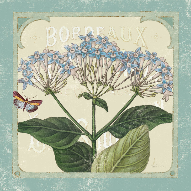 Parisian Flowers I by Sue Schlabach - Wrapped Canvas Print, 51cm H x 51cm W