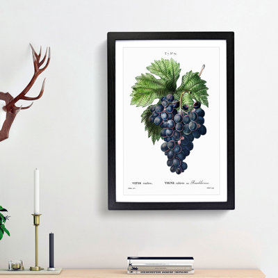 Blue Grapes by Pierre-Joseph Redoute - Picture Frame Graphic Art Print