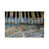 Wrapped Canvas