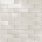 Coco 2" x 6" Porcelain Subway Wall Tile