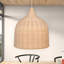 Ulancy Dome Shaped Pendant Light, 1 Light-1818970670