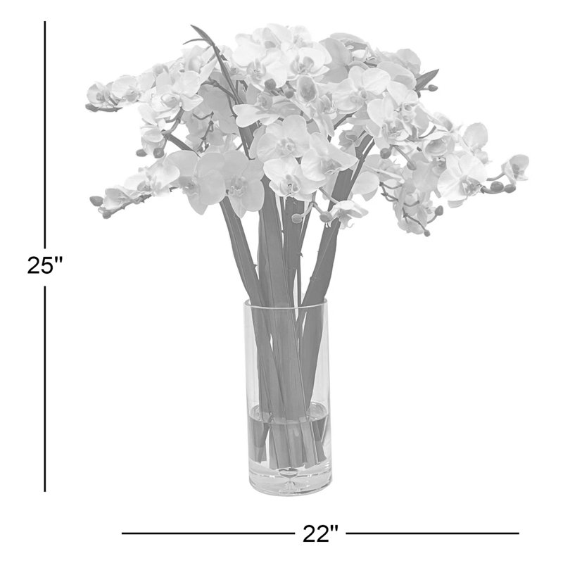 Phalaenopsis In Glass