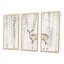 A Woodland Walk Into The Forest I - Ensemble de 3 reproductions d'art encadrées sur toile rétro-379110092-379111009