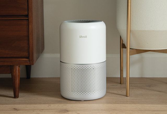 Budget-Friendly Air Purifiers