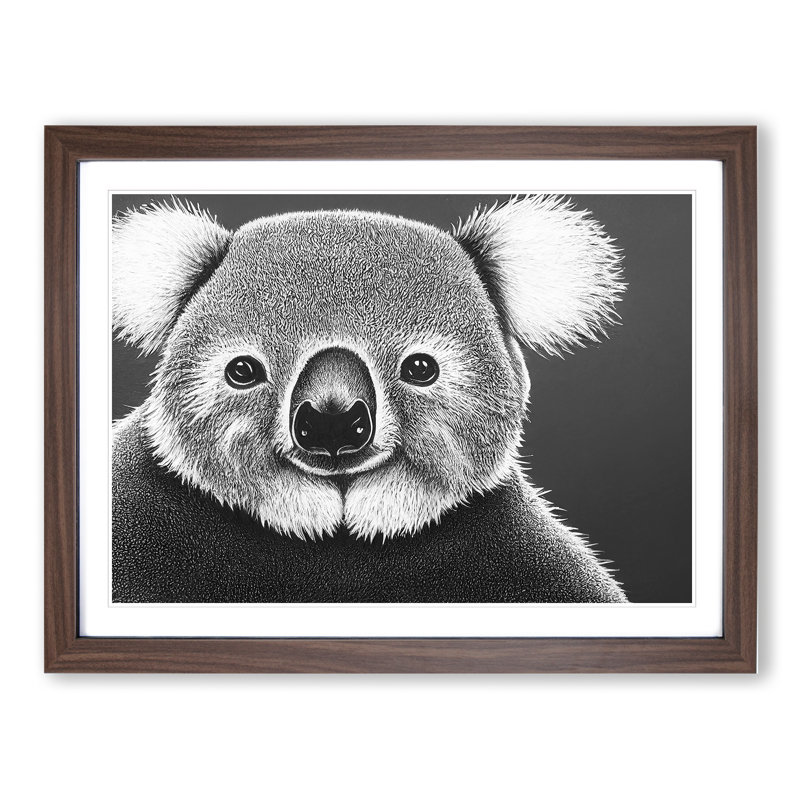 Koala Bear - Framed Print, 34cm H x 46cm W, Walnut Framed