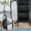 Aetheria  Accent Cabinet