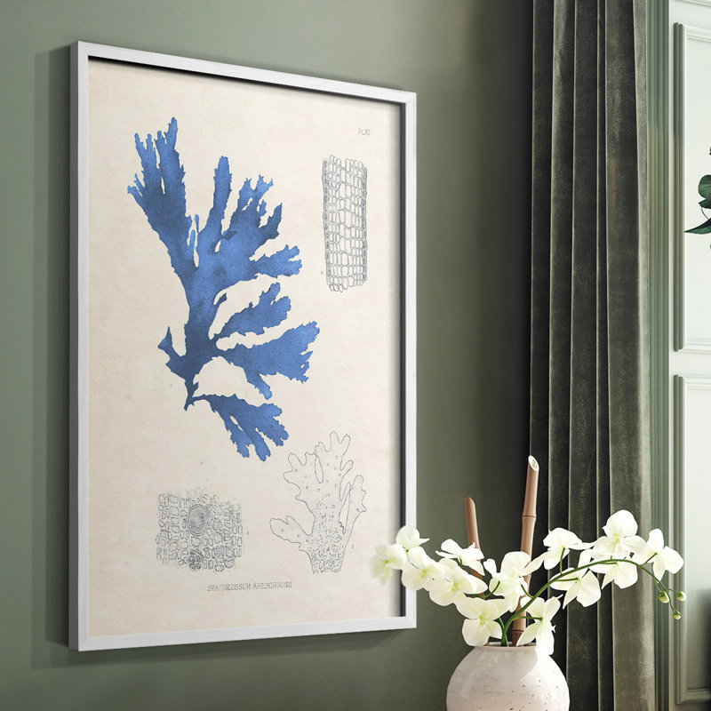 «Blue Marine Algae», reproduction encadrée en bois massif, Cadre simple blanc, H 28 po x l 22 po
