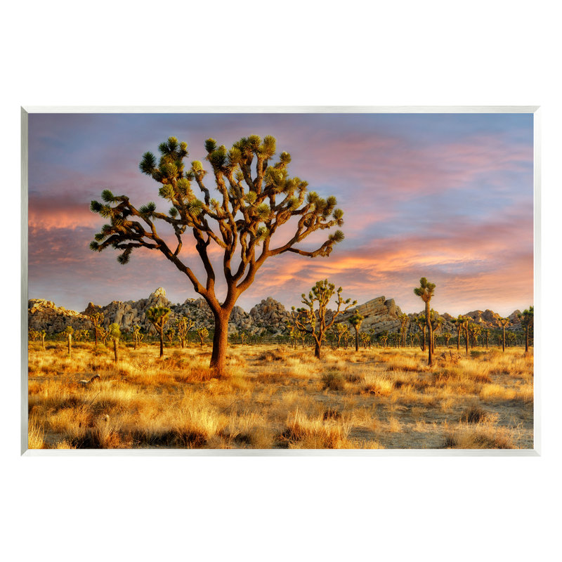«Stupell Industries Savanna Trees», photographie sur plaque murale par Dennis Frates, H 10 po x l 15 po x P 0,5 po