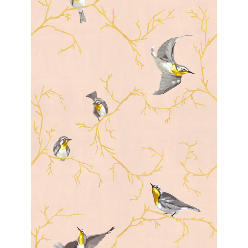 Fall of Warblers