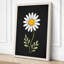 Daisy in Gold Botanical - Wrapped Canvas-2133421508-2133421510