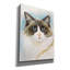 " Ragdoll 2 " by Barbara Keith-1981353635