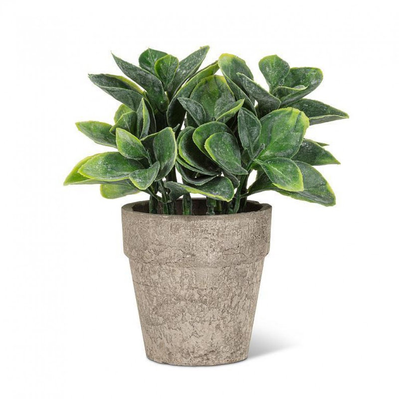 Small Spade Leaf Plant In A Pot Faux Plants And Trees