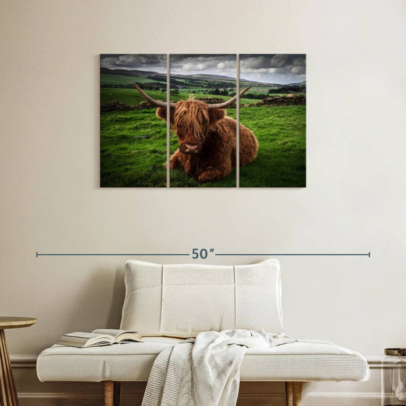Mellow Highland Cow, 24" H x 38" W