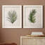 Palm Botanical I - Cadre photo, ensemble de reproductions d'art sur toiles-763922320-763922316