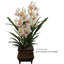 Tige en cymbidium de 30 po de hauteur avec 10 fleurs-680988162-680927704