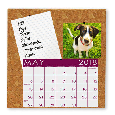 Wall Cork Mini - Up To 2' Bulletin Board