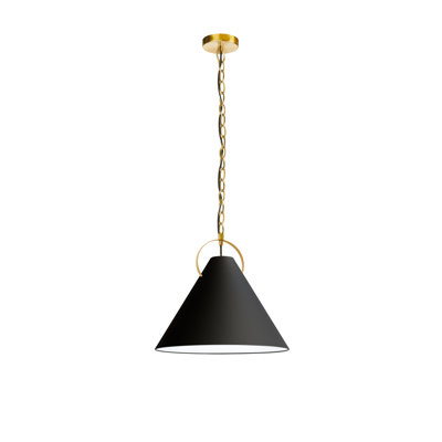 Luminaire suspendu incandescent 1 lumière Princeton