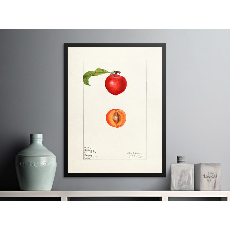 Sonette Floater Frame Print, 9x11