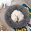 Lit pour chien Donut, lit douillet, douillet, chaud, moelleux, rond et moelleux pour animal de compagnie, lavable à la machine-379643120-379643124