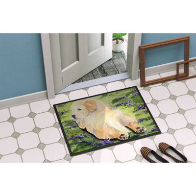 Non-Slip Indoor Doormat