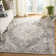 Chenault Performance Oriental Rug