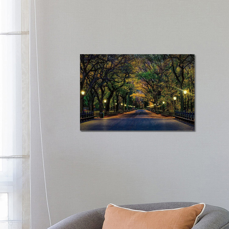 Central Park Magic by David Gardiner - Print on Canvas, 45.72cm H x 66.04cm W x 3.81cm D, Wrapped Canvas