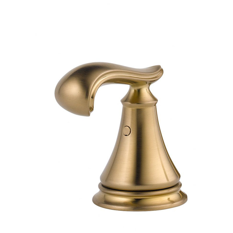 Cassidy™ Bidet Accessory, Brilliance Champagne Bronze