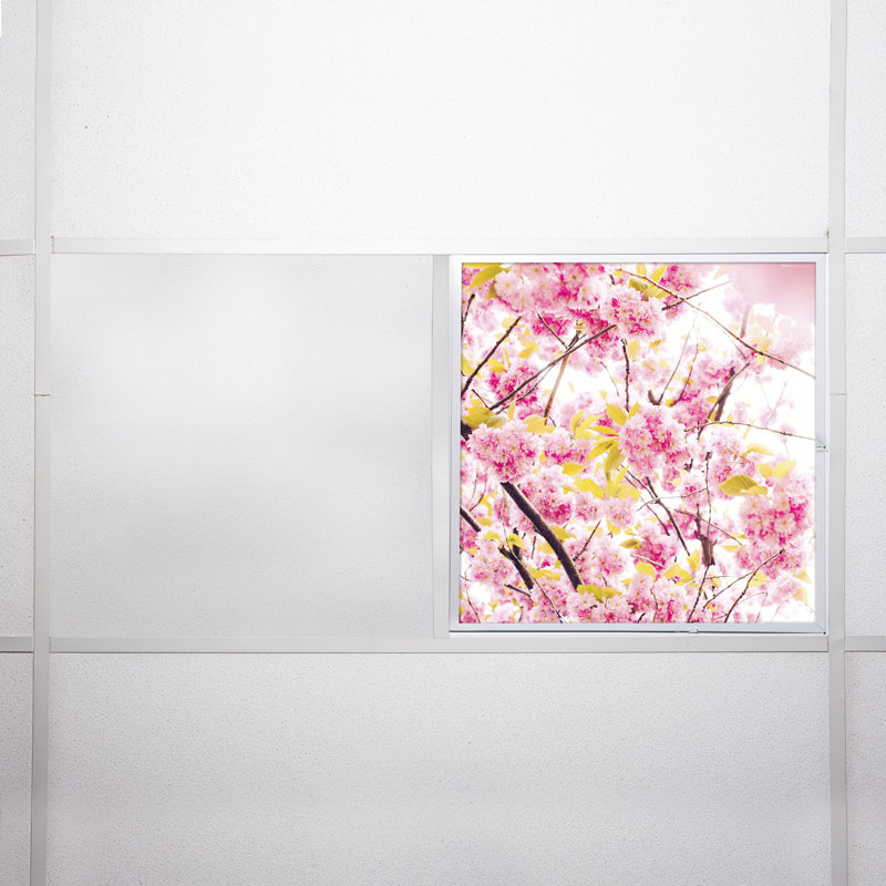 Flower Square Fixture Component Ceiling Light