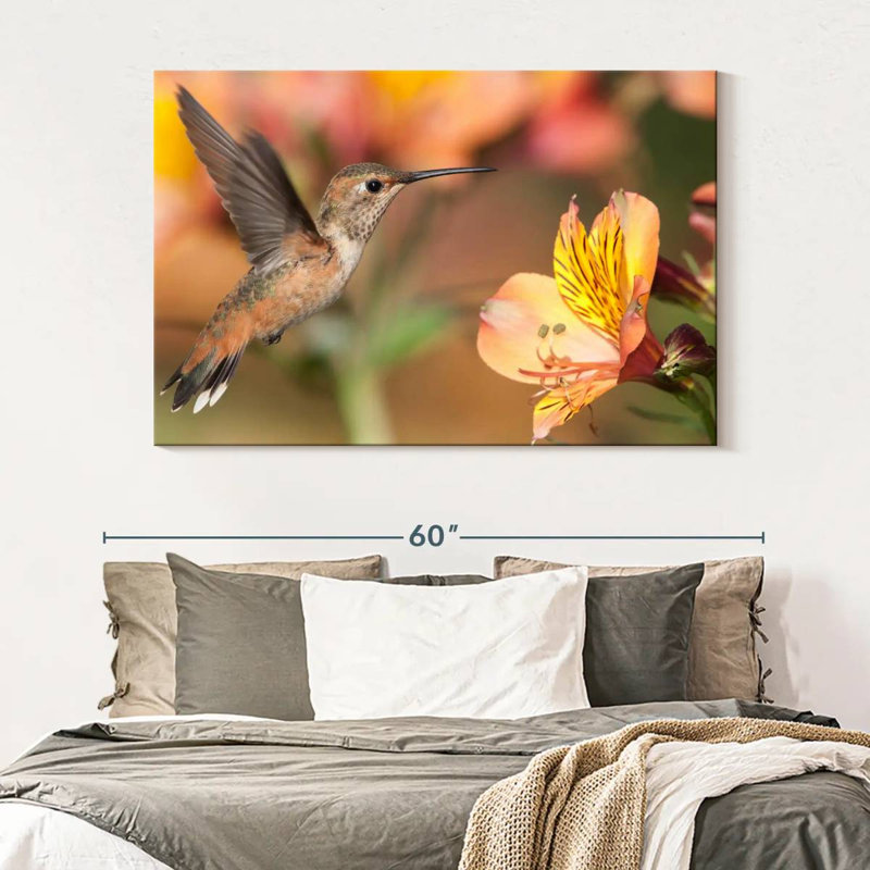 Brampt Charming Hummingbird, 34" H x 51" W