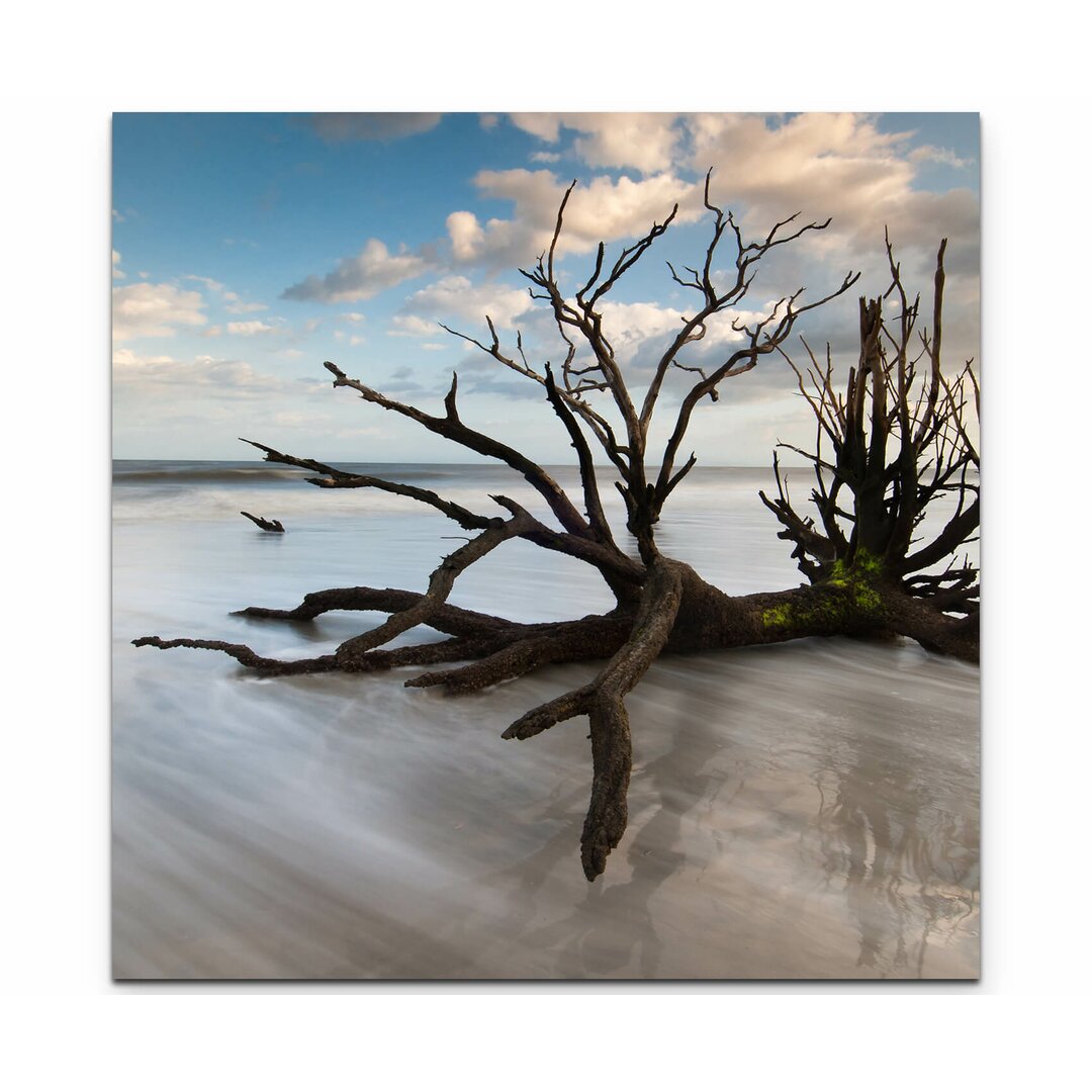 Leinwandbild Baumstumpf am Strand