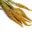 Hanging Plants 30cm Faux Mixed Assortment Garland