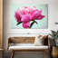 Fleur de pivoine Harnek-107680364