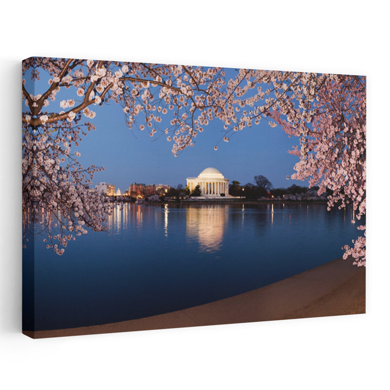 Arbre à fleurs de cerisier avec un monument commémoratif à Jefferson Washington DC, H 16 po x l 24 po