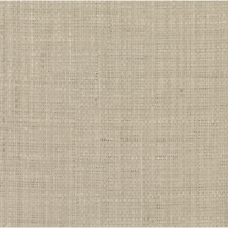 Rouleau de papier peint uni 27 pi x 27 po Aurelian, Taupe