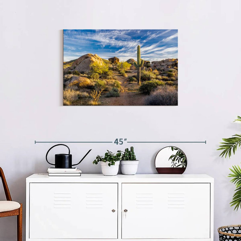 Alvord Saguaro, cactus et roches, H 20 po x l 30 po