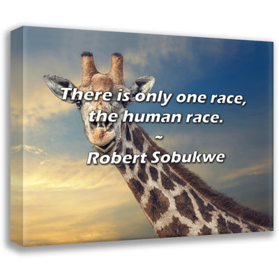 Robert Sobukwe Quote: There is only one race, the human race.